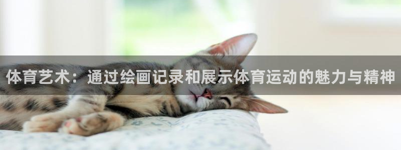 欧亿体育官方正版app集团E.ON：体育艺术：通过绘