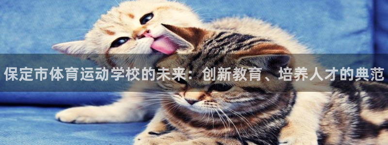 欧亿体育官方正版app代理：保定市体育运动学校的未来
