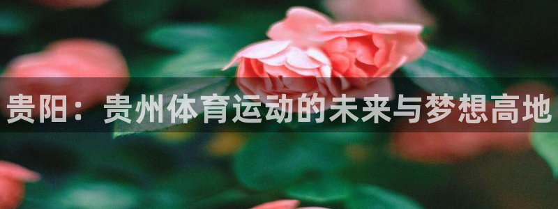 oety欧亿体育官网下载娱乐：贵阳：贵州体育运动的未