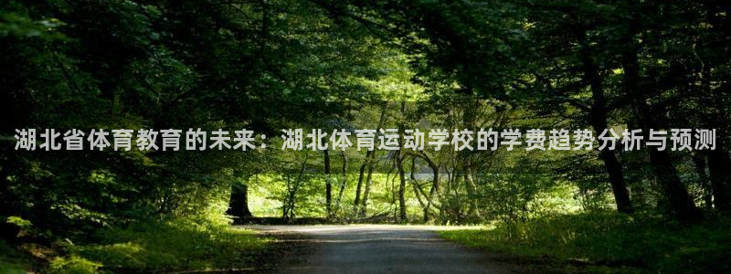 欧亿体育官方正版app集团E.ON：湖北省体育教育的