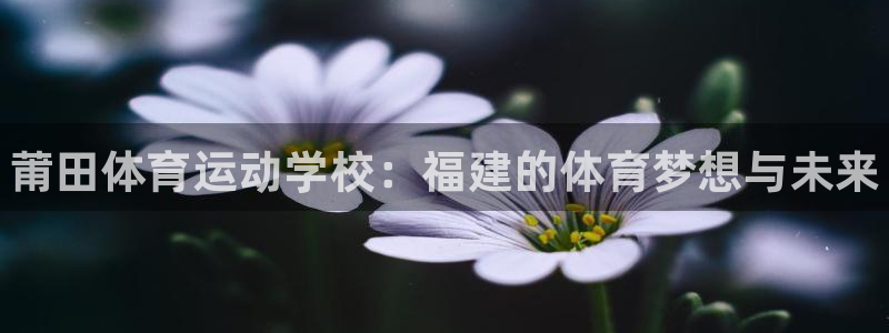 oety欧亿体育官网下载招商电话地址查询：莆田体育运