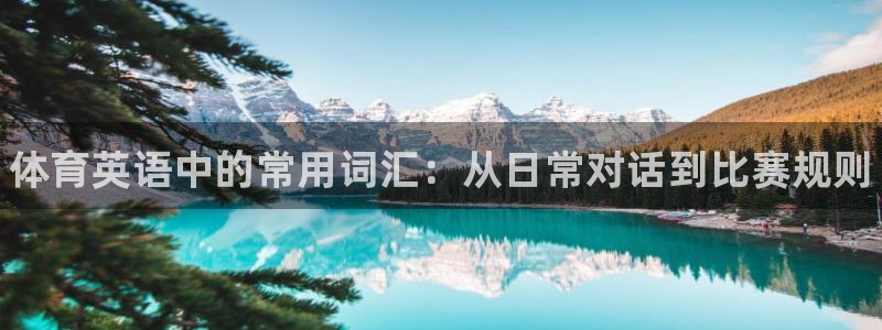 oety欧亿体育官网下载招商电话号码：体育英语中的常