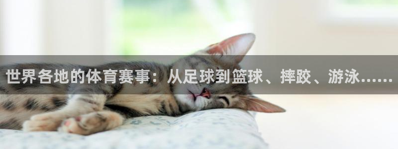 欧亿体育官方正版app娱乐首页网站大全：世界各地的体