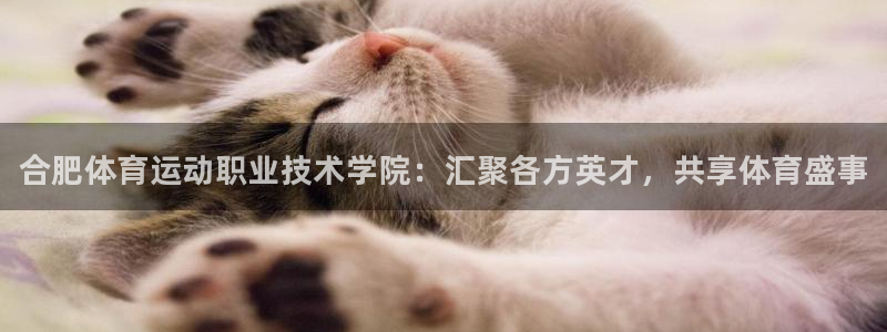 欧亿体育官方集团官网：合肥体育运动职业技术学院：汇聚