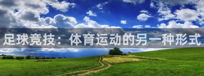 海南oety欧亿体育官网下载发展怎么样：足球竞技：体育运动的