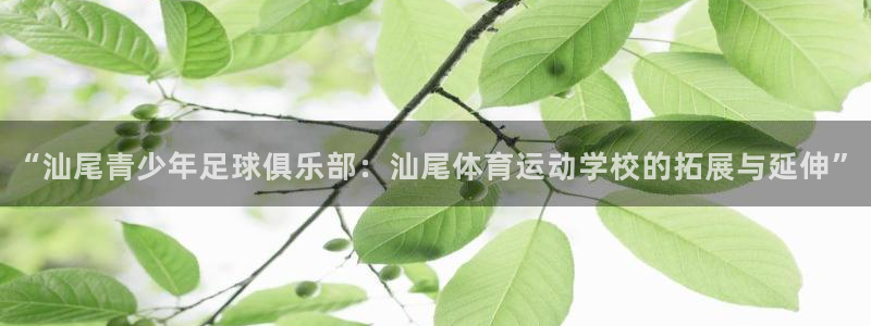 oety欧亿体育官网下载平台是正规平台吗：“汕尾青少年足球俱