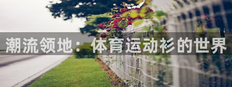 oety欧亿体育官网下载娱乐：潮流领地：体育运动衫的世界