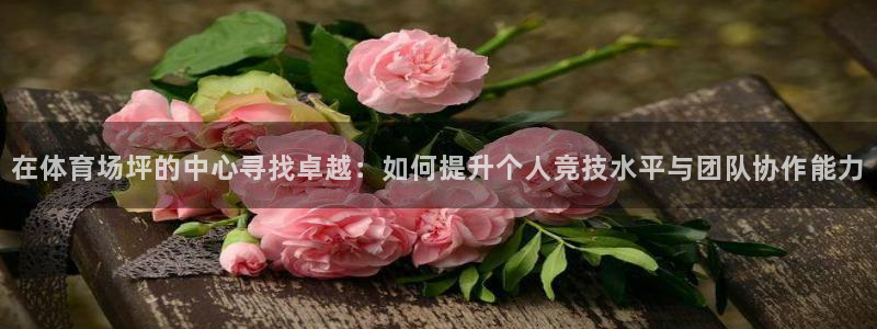 oety欧亿体育官网下载平台是正规平台吗知乎：在体育场坪的中