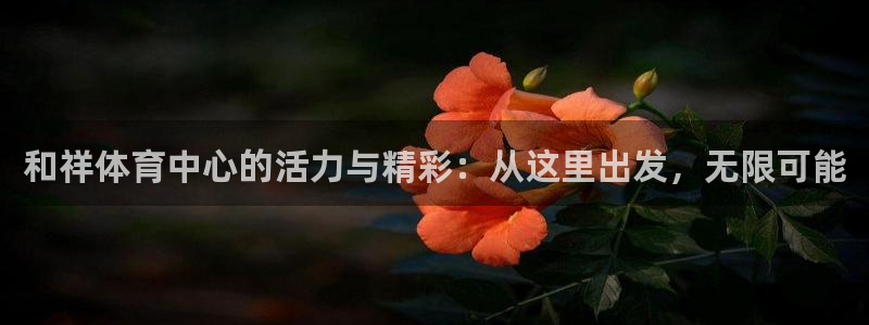 海南oety欧亿体育官网下载：和祥体育中心的活力与精彩：从这