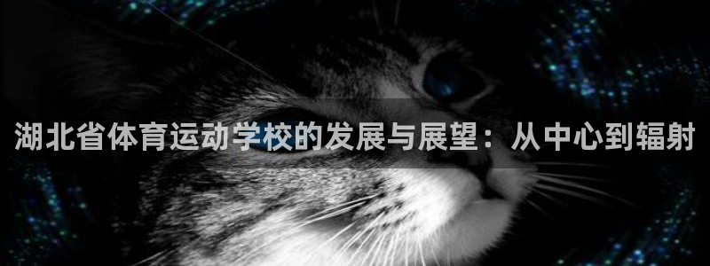 欧亿软件下载：湖北省体育运动学校的发