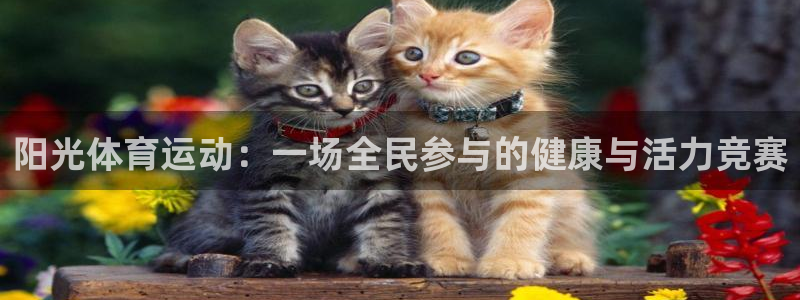 OE欧亿官网注册：阳光体育运动：一场
