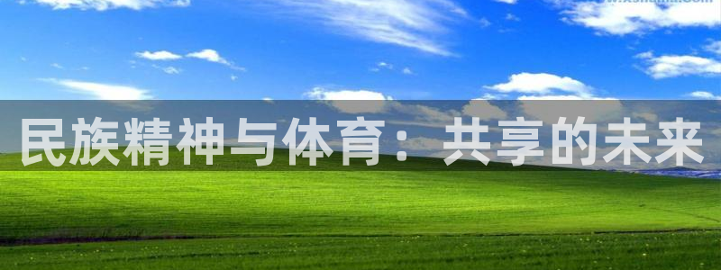 oety欧亿体育官网下载平台注册要钱吗安全吗:民族精神与体育
